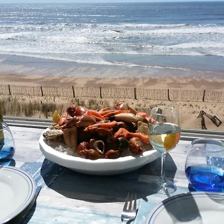 Joli T2 Face Ocean Appartement *